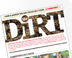 Tb dirt logo