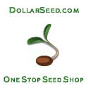 Dollar seed