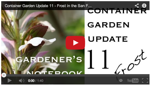 container-garden-update-11