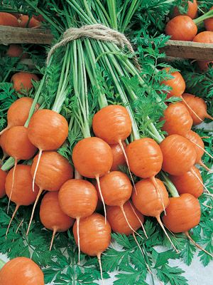 parisian-carrots
