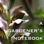 A Gardener's Notebook Artwork