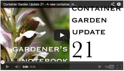 container-garden-update-21