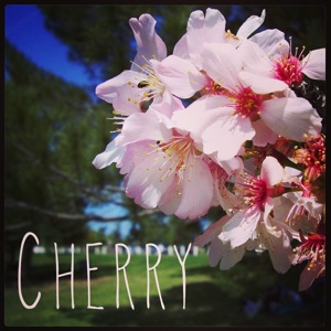 Japanese cherry
