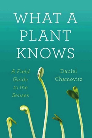 What a plant knows cover