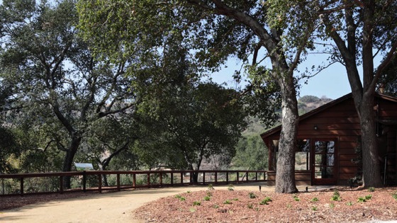 Woodlands restored to re-create 16th century landscape in L.A. via The Los Angeles Times