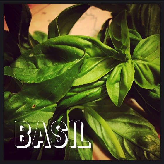 Basil