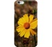Small sunflower rb iphone