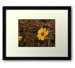 Small sunflower rb print