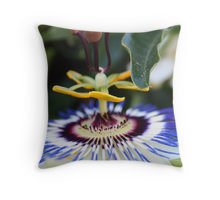 Passionflower pillow