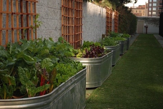 Cattle trough beds