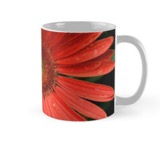 Gerbera daisy mug