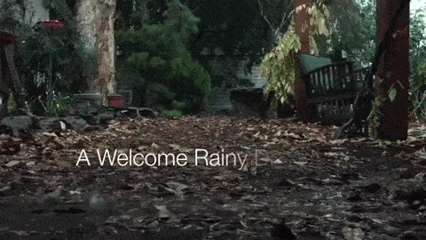 A Welcome Rainy Day - - A Minute in the Garden 27 from A Gardener's Notebook [Video]