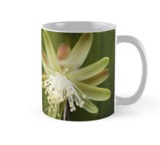 White cactus mug