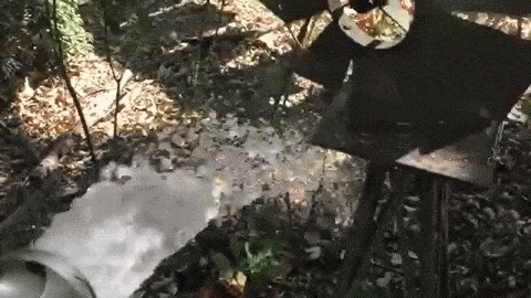 Video: Water and Wind in the Garden (Slomo) (20 secs)