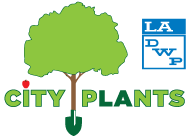 city-plants-la-dwp