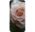 Pink rose iphone