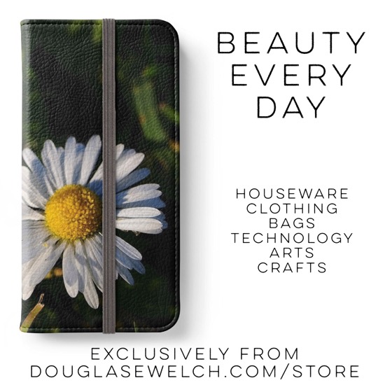 Chamomile Flower IPhone Wallet and much more available at DouglasEWelch.com/store #garden #flower #products #home #houseware #technology #iphone #clothing #arts #crafts #nature