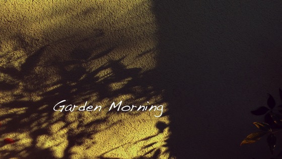Garden Morning - A Minute in the Garden 48 from A Gardener's Notebook 