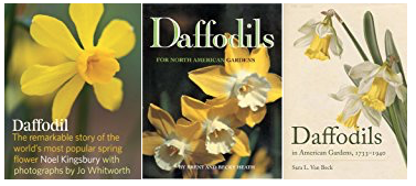 Daffodil books