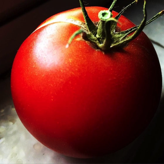 Another nice looking tomato from the container garden