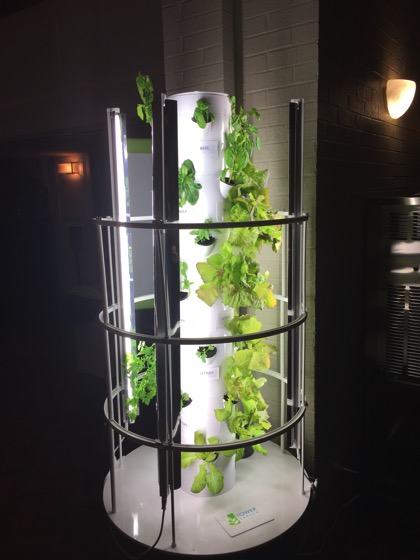 Tower Garden spotted in Stephens College Cafeteria