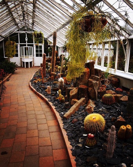 Cactus House, Conservatory, Dunedin Botanic Garden, Dunedin, New Zealand via Instagram
