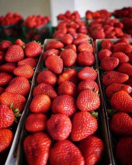 Strawberries at Sherman Oaks Farmers Market -- Follow Me On Instagram!