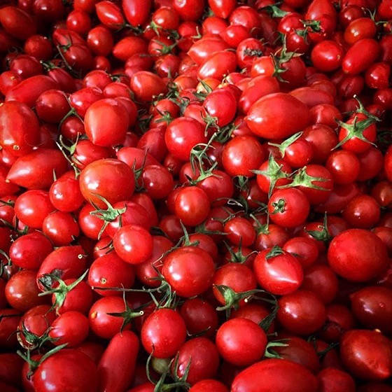 Grape Tomatoes 🍅 -- Follow Me On Instagram!