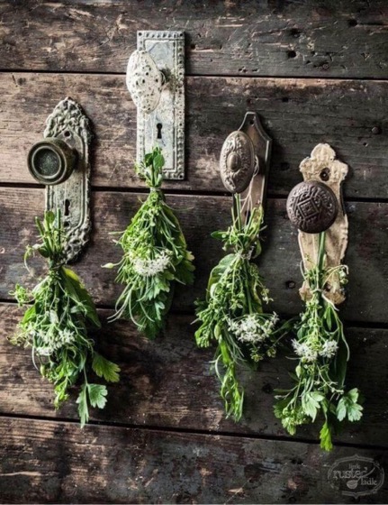 Garden Decor: Antique Doorknob Flower and Herb Drying Display