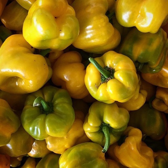 Yellow Peppers at the Farmers Market via Instagram