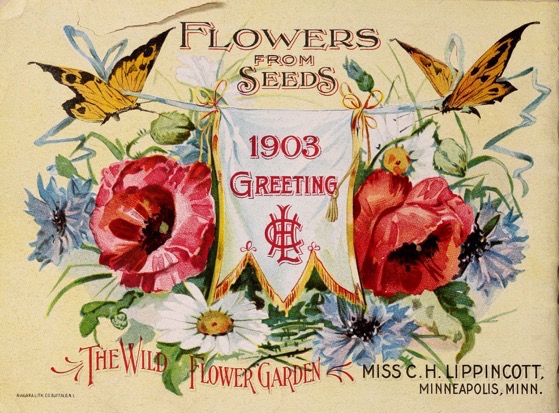 Historical Seed Catalogs: Flower seeds by Miss C.H. Lippincott  (1903) - 8 in a series