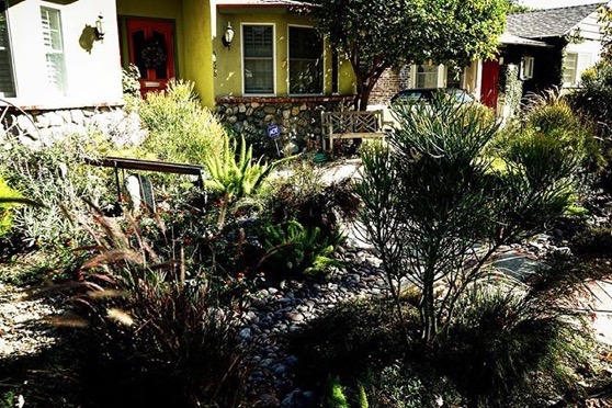 Local Waterwise Garden, Sherman Oaks, California via Instagram,