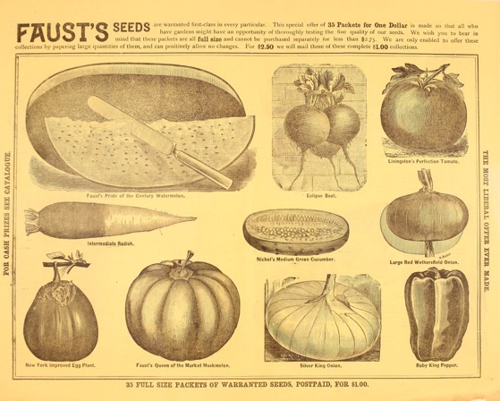 Historical Seed Catalogs: Garden-field-and flower seeds by I. V. Faust - 13 in a series