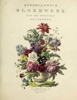 Historical Garden Books: Nederlandsch bloemwerk (1794) - 23 in a Series