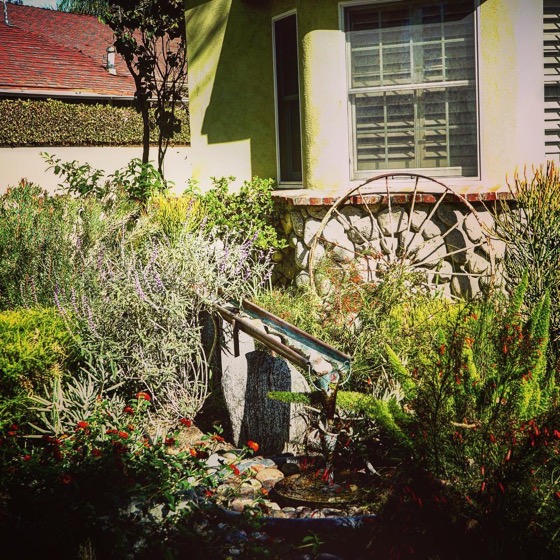 Lovely copper gutter fountain in water wise garden via Instagram