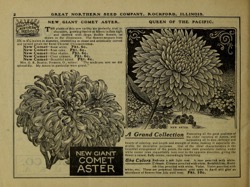 Historical Seed Catalogs: [Catalog of] the Great Northern Seed Co. (1901) - 18 in a series