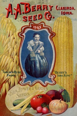 Historical Seed Catalogs: Farm, flower & garden seeds by A.A. Berry Seed Co (1905) - 21 in a series