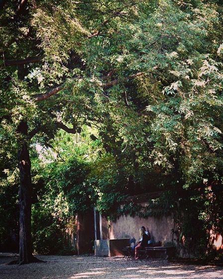 In the garden... Scene from the Orto Botanico in the Brera District of Milan via Instagram