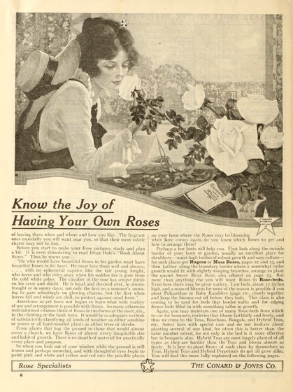 Historical Seed Catalogs: The Conard & Jones Co. roses (1920) - 28 in a series