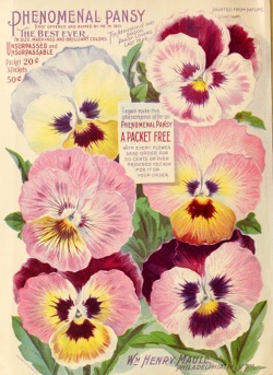 Historical Seed Catalogs: Maule's silver anniversary seed catalogue (1902) - 26 in a series