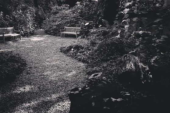 A scene from the Orto Botanico in the Brera district of Milan via Instagram