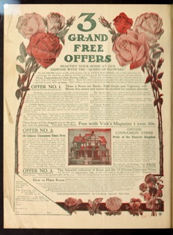 Historical Garden Books: Vick's magazine (1906) - 43 in a series