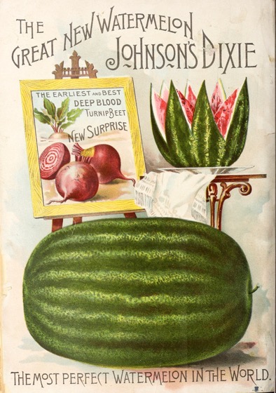 Historical Seed Catalogs: Money growers manual by Johnson & Stokes; (1892) - 35 in a series