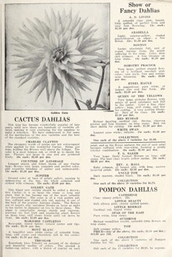 Historical Seed Catalogs: Elm Valley Seed Gardens/Zack Davis Company (1919) - 40 in a series