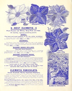 Historical Seed Catalogs: Flowers for springtime by Miss Mary E. Martin (1900) - 41 in a series