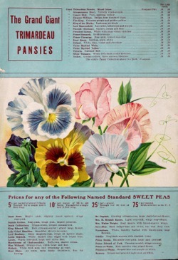 Historical Seed Catalogs: Seed annual : a gardeners, truckers and farmers by American Seed Company (1911) - 42 in a series