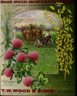 Historical Seed Catalogs: Wood's seeds Catalog (1919) - 47 in a series