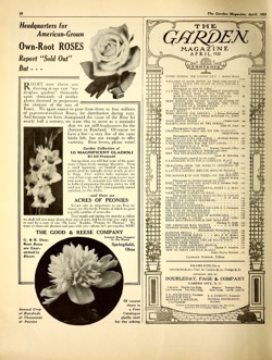Historical Garden Books - 57 in a series - The Garden magazine, April 1920