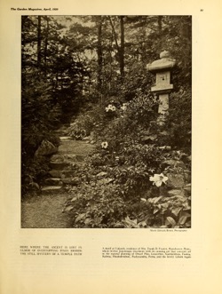 Historical Garden Books - 57 in a series - The Garden magazine, April 1920