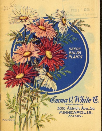 Historical Seed Catalogs: Seeds bulbs plants (1920) by Emma V. White - 46 in a series